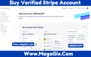 Stripe Verified Business Account