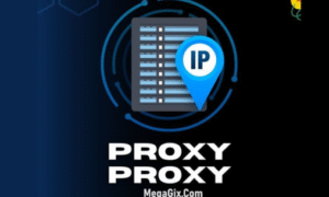3 Proxies - MegaPersonals IP
