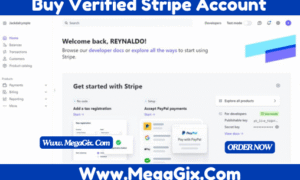 Stripe Business Verified Account